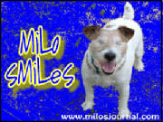 Milo Smiles